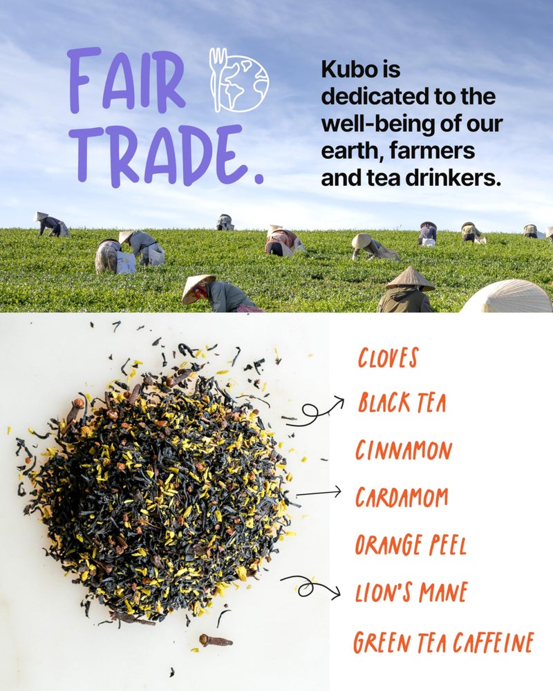 Kubo Tea Lion's Mane Black Tea - High Caffeine Coffee Substitute w/ 20 Servings (155mg Caffeine Each) - Organic Lion's Mane Tea Bags with Pillow Bag Design, Biodegradable and Compostable Packaging - Image 2